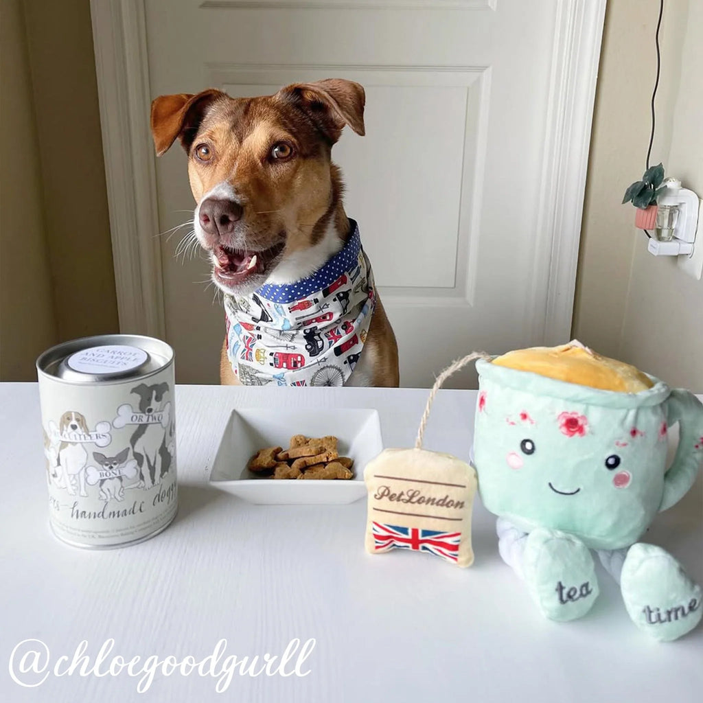 Doggy Treats Gift Set