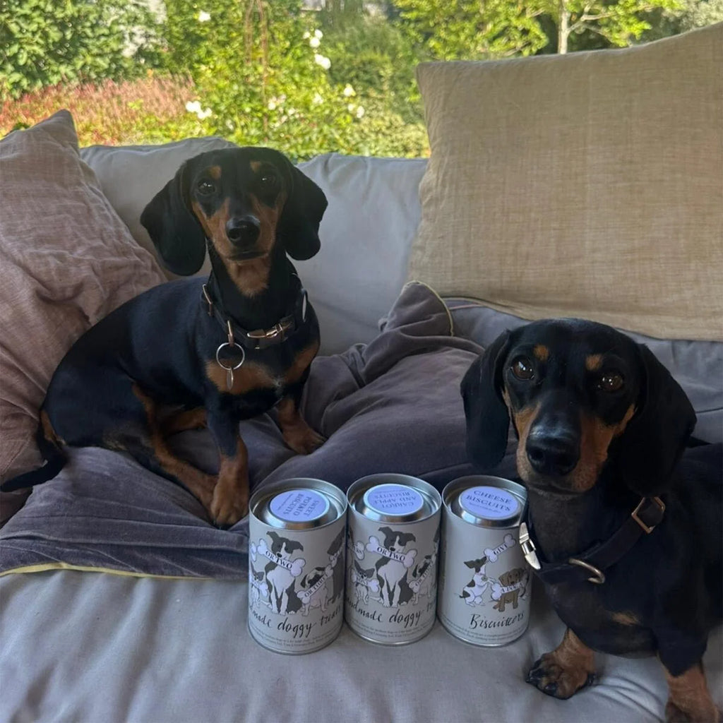Doggy Treats Gift Set