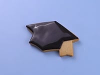 Graduation Biscuit Tin