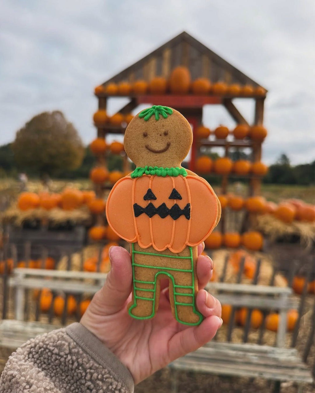 Pumpkin Jolly Ginger - Biscuiteers