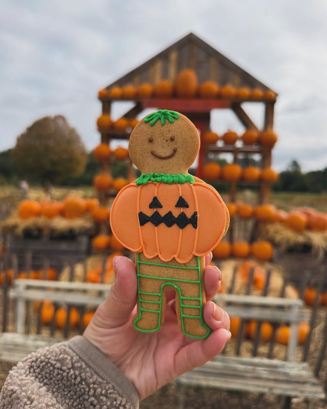 Pumpkin Jolly Ginger - Biscuiteers