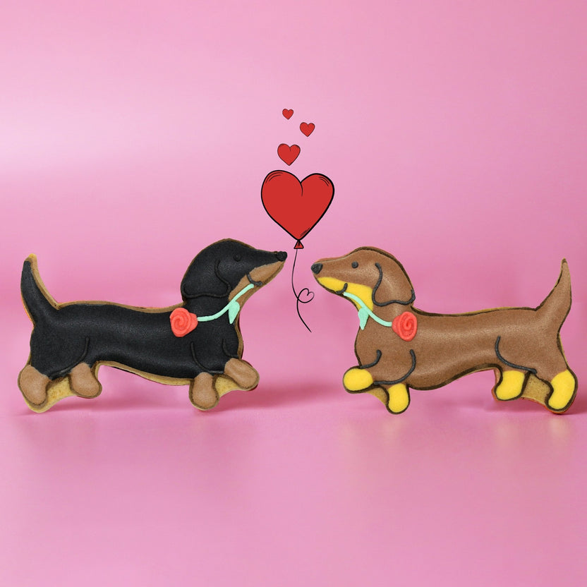 Sausage Dogs Close-Up